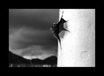 03803bw
