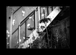 03811bw