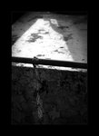 03845bw