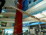 D2H_3331s