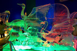 D2H_2846s