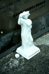 D50_1519s