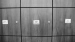 DL3_0383s