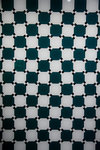 350D8741s