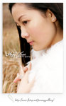 shan 4