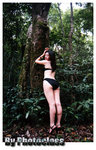 linna4