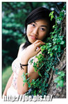 cherry01