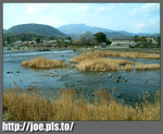 japand23