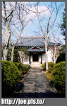 japanf11