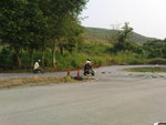 DSC02546