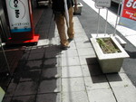 DSCN0519