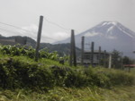 DSCN0529