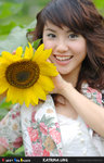 Ling_PS048