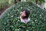 Ling_0001