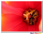 IMG_3043a