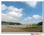 IMG_4240a