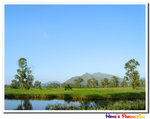IMG_6633a