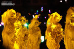 IMG_0239