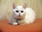 PICT0098r1
