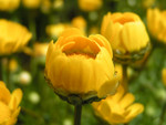 PICT0057
