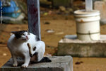 CRW_0023_RJ