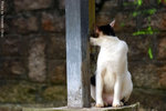 CRW_0034_RJ