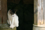 CRW_0053_RJ