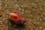 CRW_0120_RJ