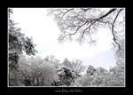 DSC_0119