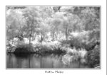 IMG_0114a