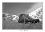 IMG_0143a