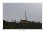 DSC_0290
