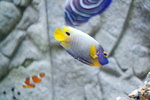 DSCF1644