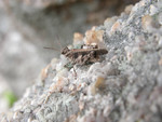 DSCN0065