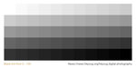BLACK_TINT