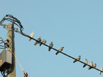 DSCN0209