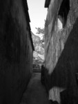 DSCN0211