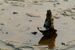 DSCF3254