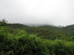 IMG_0202