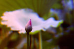
��j���� (8)