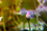 
��j���� (11)