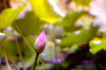 
��j���� (15)