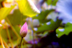 
��j���� (16)