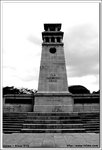 DSC_2789bw_1