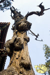 700beijing035a