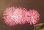 IMG_0941a