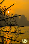800sunset001