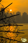 800sunset002