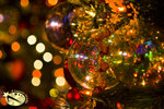 800xmaslighting022