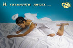 800angelfd001